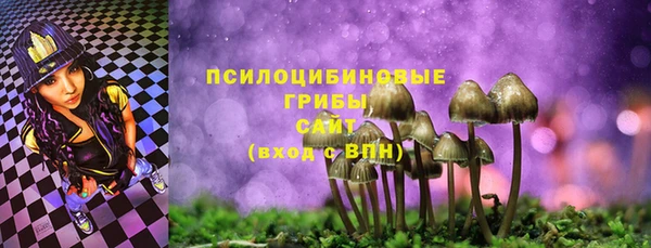 первитин Алексеевка