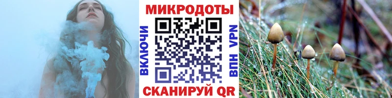 Псилоцибиновые грибы мицелий  Тольятти 